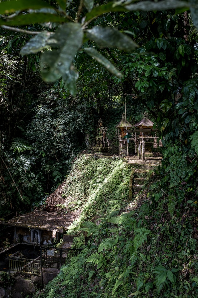 Mystical jungle scene